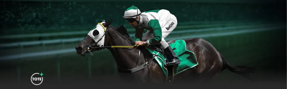 聚焦老年消,费新趋势,部门深度解,博天堂,彩票平台,在线投注,彩票预测,彩票服务