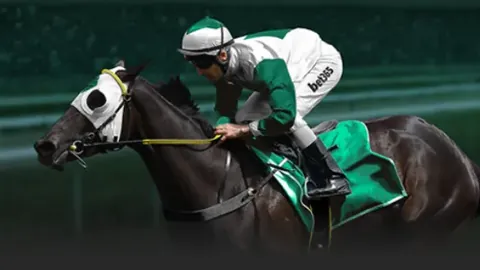 “聚焦老年消费新趋势：部门深度解读精准服务之道”